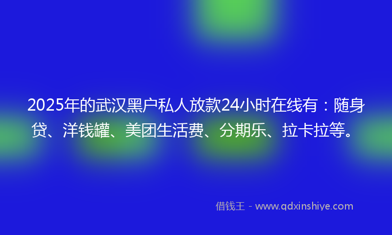2025年的武汉黑户私人放款24小时在线有：随身贷、洋钱罐、美团生活费、分期乐、拉卡拉等。