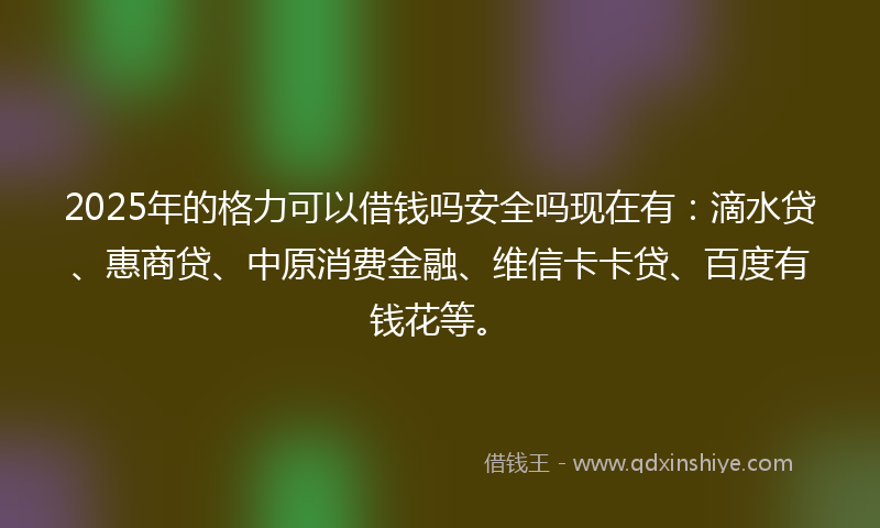 2025年的格力可以借钱吗安全吗现在有：滴水贷、惠商贷、中原消费金融、维信卡卡贷、百度有钱花等。