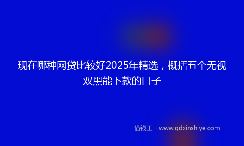 现在哪种网贷比较好2025年精选，概括五个无视双黑能下款的口子