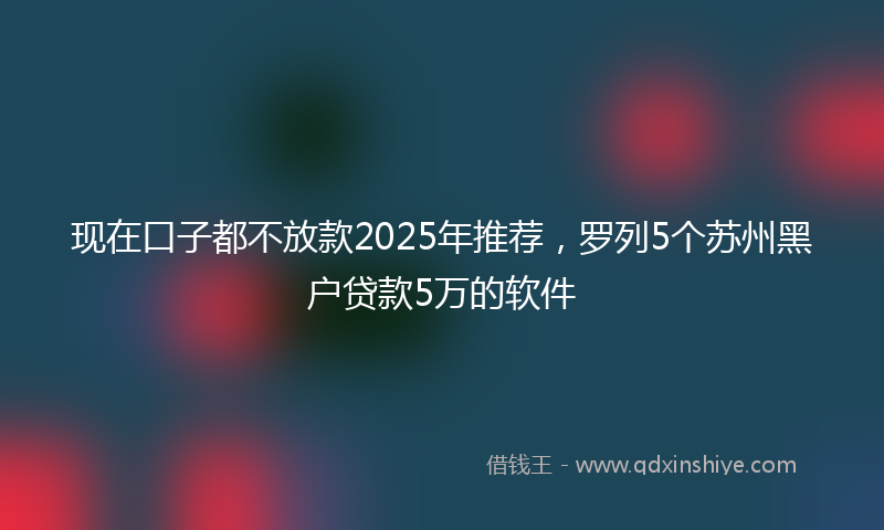 现在口子都不放款2025年推荐，罗列5个苏州黑户贷款5万的软件