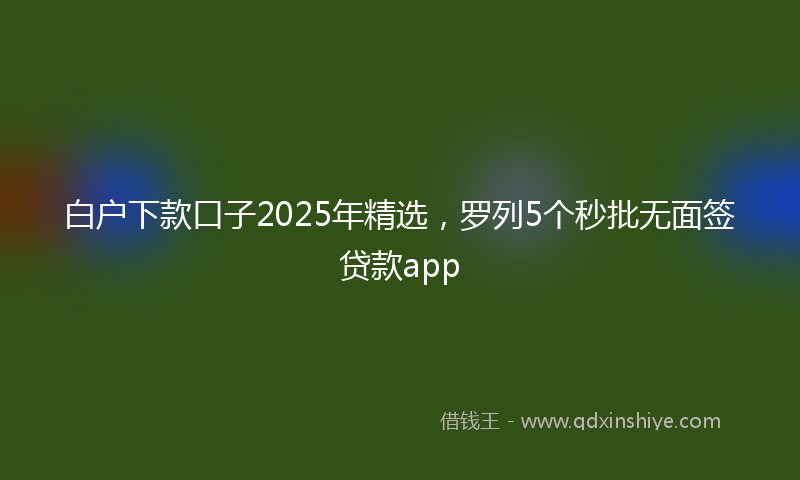 白户下款口子2025年精选，罗列5个秒批无面签贷款app