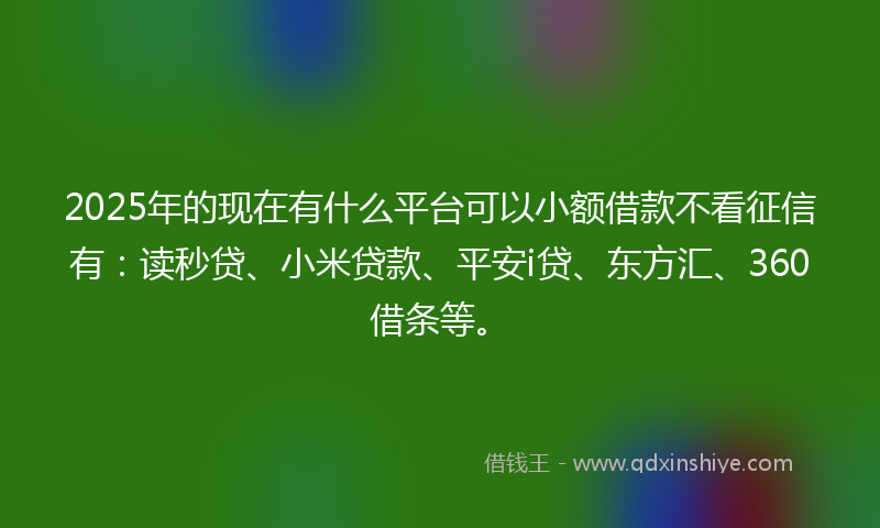 2025年的现在有什么平台可以小额借款不看征信有：读秒贷、小米贷款、平安i贷、东方汇、360借条等。
