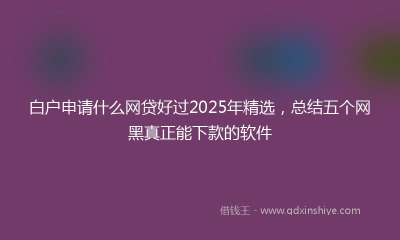白户申请什么网贷好过2025年精选，总结五个网黑真正能下款的软件