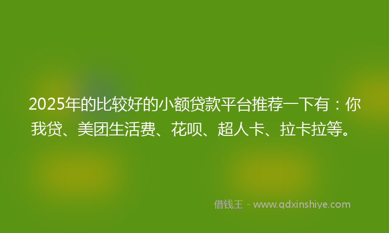2025年的比较好的小额贷款平台推荐一下有：你我贷、美团生活费、花呗、超人卡、拉卡拉等。