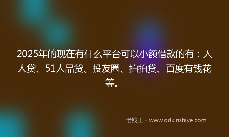 2025年的现在有什么平台可以小额借款的有：人人贷、51人品贷、投友圈、拍拍贷、百度有钱花等。