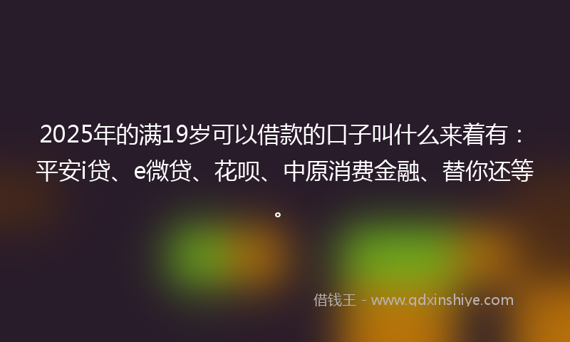 2025年的满19岁可以借款的口子叫什么来着有：平安i贷、e微贷、花呗、中原消费金融、替你还等。