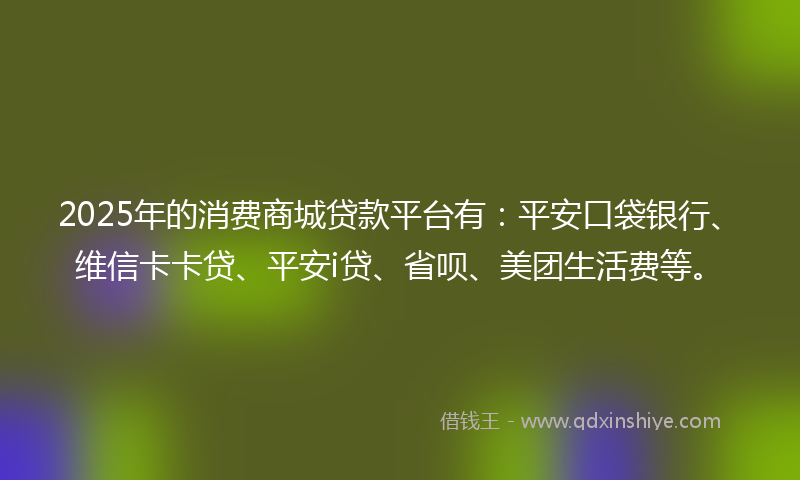 2025年的消费商城贷款平台有：平安口袋银行、维信卡卡贷、平安i贷、省呗、美团生活费等。