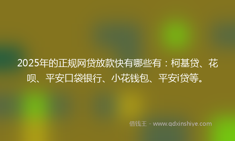 2025年的正规网贷放款快有哪些有：柯基贷、花呗、平安口袋银行、小花钱包、平安i贷等。