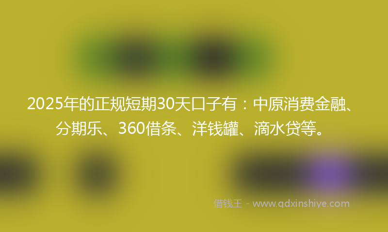 2025年的正规短期30天口子有：中原消费金融、分期乐、360借条、洋钱罐、滴水贷等。