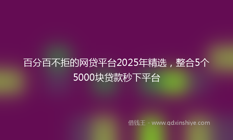 百分百不拒的网贷平台2025年精选，整合5个5000块贷款秒下平台