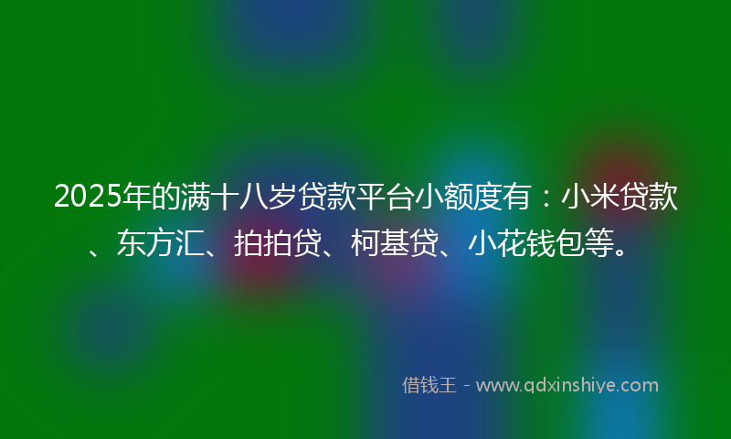 2025年的满十八岁贷款平台小额度有：小米贷款、东方汇、拍拍贷、柯基贷、小花钱包等。