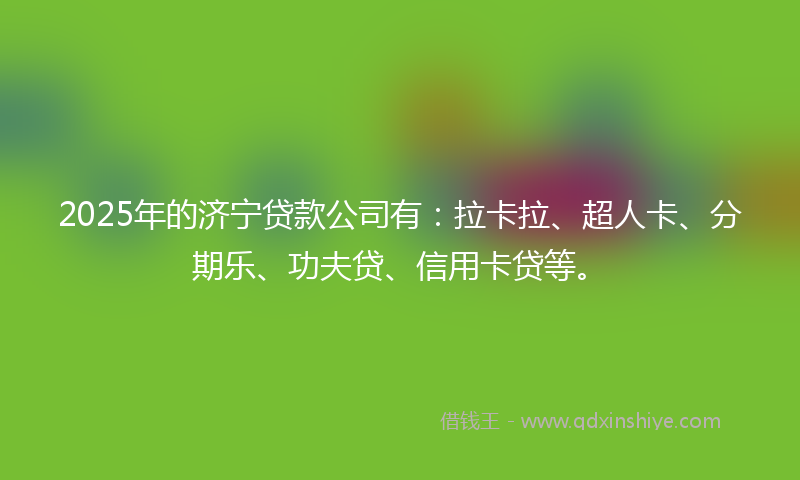2025年的济宁贷款公司有：拉卡拉、超人卡、分期乐、功夫贷、信用卡贷等。