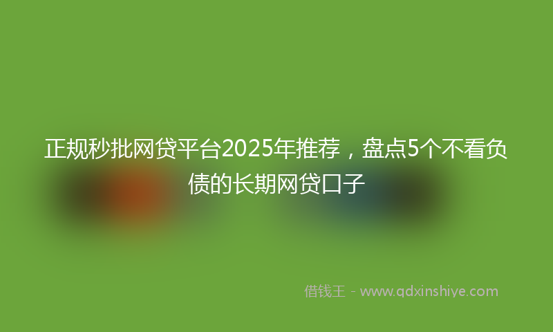 正规秒批网贷平台2025年推荐，盘点5个不看负债的长期网贷口子