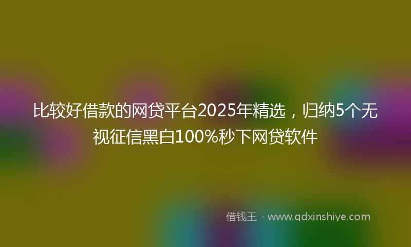 比较好借款的网贷平台2025年精选,归纳5个无视征信黑白100%秒下网贷软件
