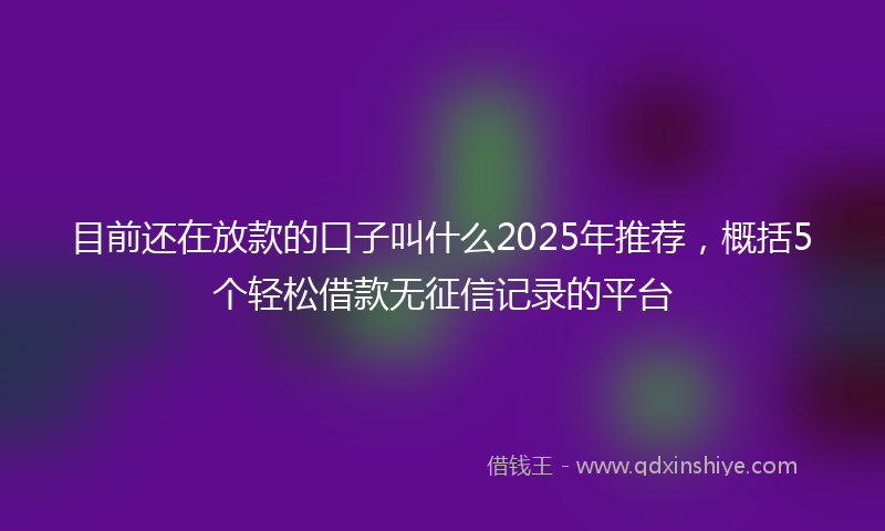 目前还在放款的口子叫什么2025年推荐，概括5个轻松借款无征信记录的平台