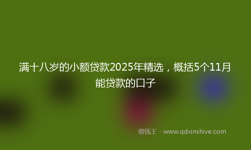 满十八岁的小额贷款2025年精选，概括5个11月能贷款的口子
