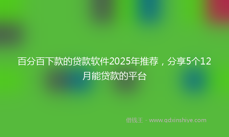 百分百下款的贷款软件2025年推荐，分享5个12月能贷款的平台