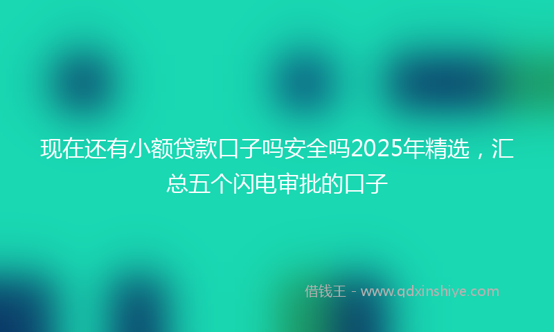 现在还有小额贷款口子吗安全吗2025年精选，汇总五个闪电审批的口子