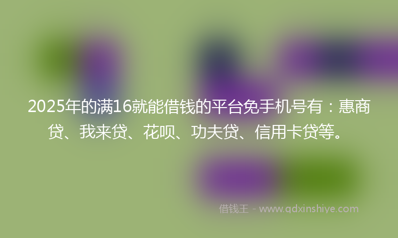 2025年的满16就能借钱的平台免手机号有：惠商贷、我来贷、花呗、功夫贷、信用卡贷等。
