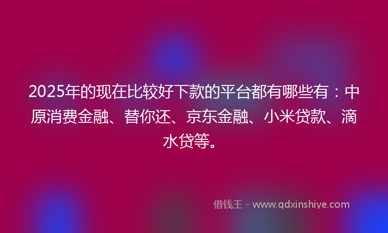 2025年的现在比较好下款的平台都有哪些有：中原消费金融、替你还、京东金融、小米贷款、滴水贷等。