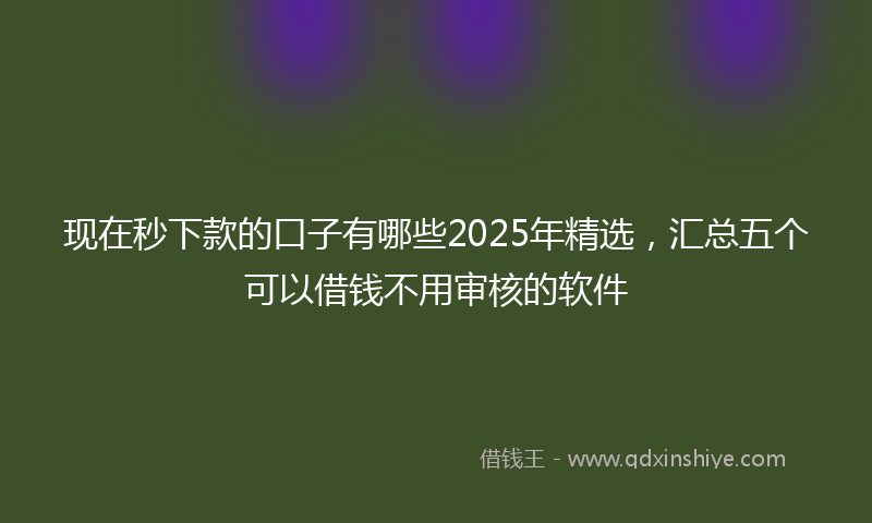 现在秒下款的口子有哪些2025年精选，汇总五个可以借钱不用审核的软件