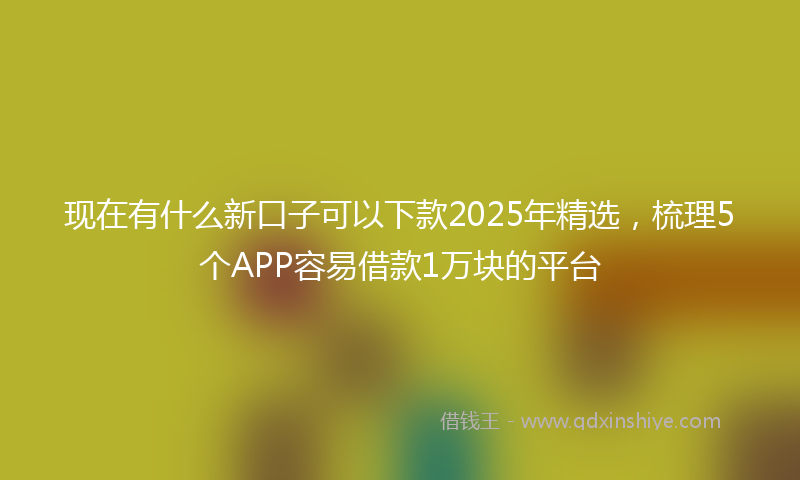 现在有什么新口子可以下款2025年精选，梳理5个APP容易借款1万块的平台