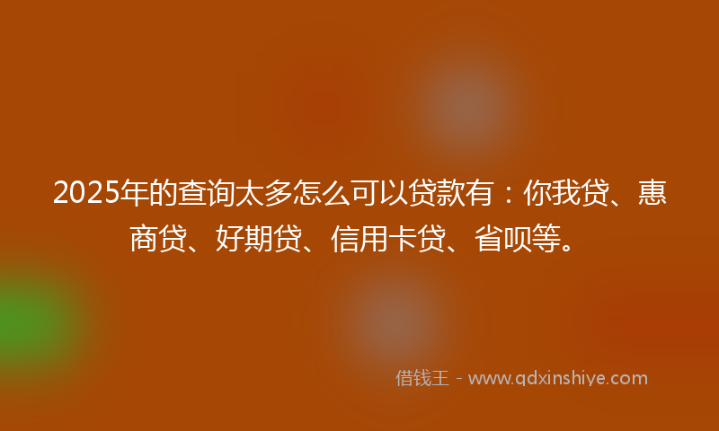 2025年的查询太多怎么可以贷款有：你我贷、惠商贷、好期贷、信用卡贷、省呗等。