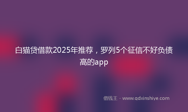 白猫贷借款2025年推荐，罗列5个征信不好负债高的app
