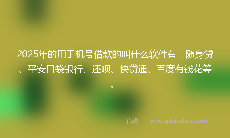 2025年的用手机号借款的叫什么软件有：随身贷、平安口袋银行、还呗、快贷通、百度有钱花等。