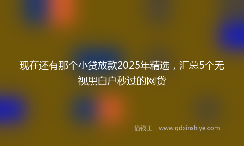 现在还有那个小贷放款2025年精选，汇总5个无视黑白户秒过的网贷