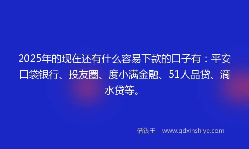 2025年的现在还有什么容易下款的口子有:平安口袋银行、投友圈、度小满金融、51人品贷、滴水贷等。
