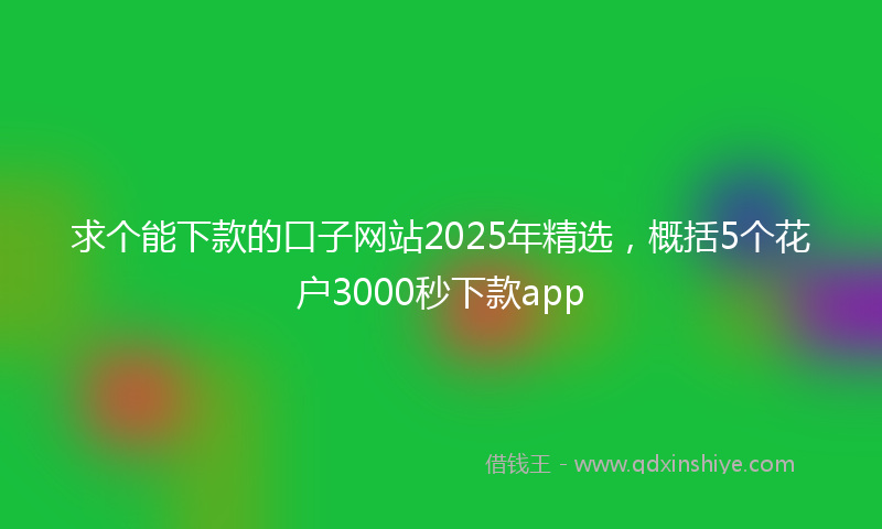 求个能下款的口子网站2025年精选，概括5个花户3000秒下款app
