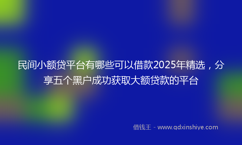 民间小额贷平台有哪些可以借款2025年精选，分享五个黑户成功获取大额贷款的平台