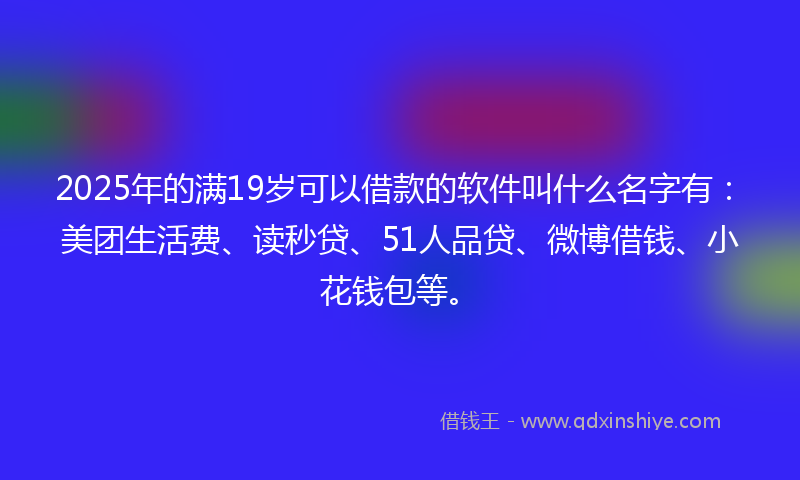 2025年的满19岁可以借款的软件叫什么名字有：美团生活费、读秒贷、51人品贷、微博借钱、小花钱包等。