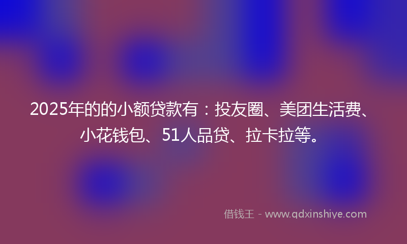 2025年的的小额贷款有：投友圈、美团生活费、小花钱包、51人品贷、拉卡拉等。