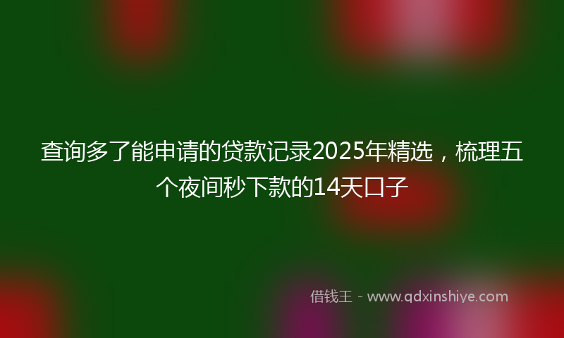 查询多了能申请的贷款记录2025年精选，梳理五个夜间秒下款的14天口子