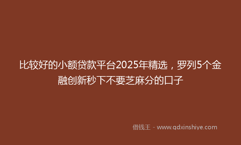 比较好的小额贷款平台2025年精选，罗列5个金融创新秒下不要芝麻分的口子