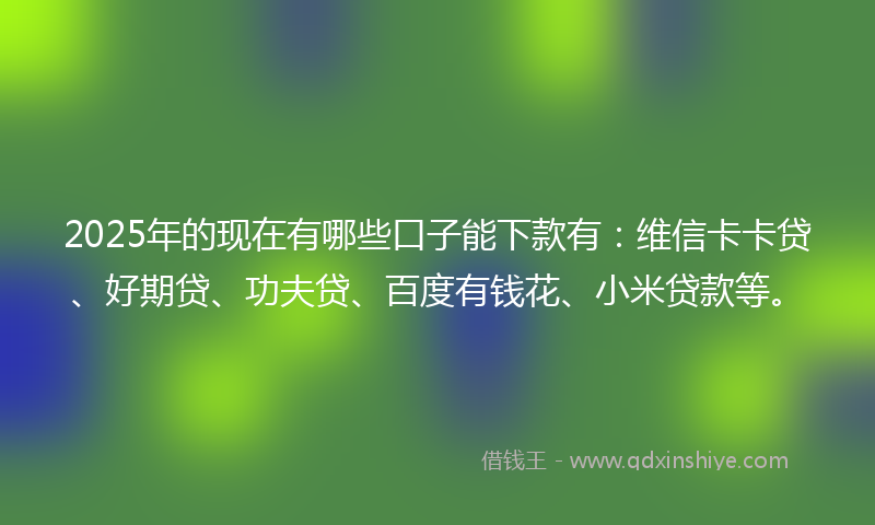 2025年的现在有哪些口子能下款有：维信卡卡贷、好期贷、功夫贷、百度有钱花、小米贷款等。