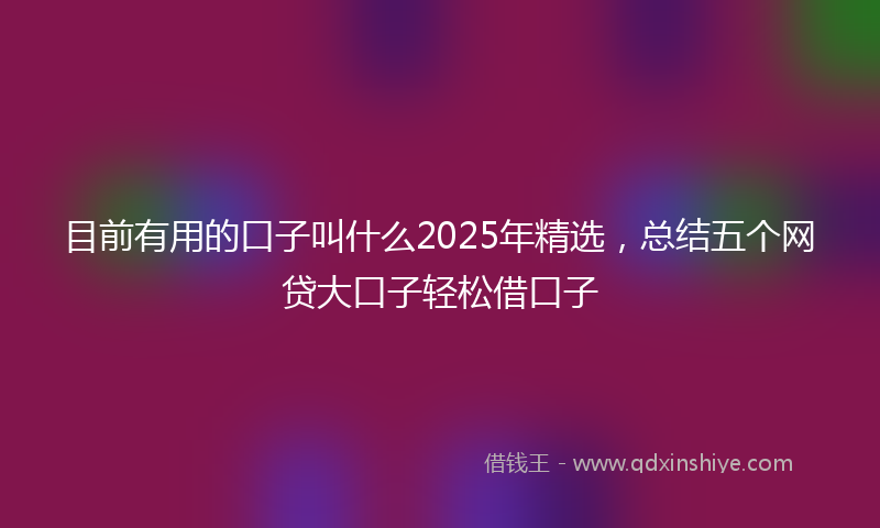 目前有用的口子叫什么2025年精选，总结五个网贷大口子轻松借口子