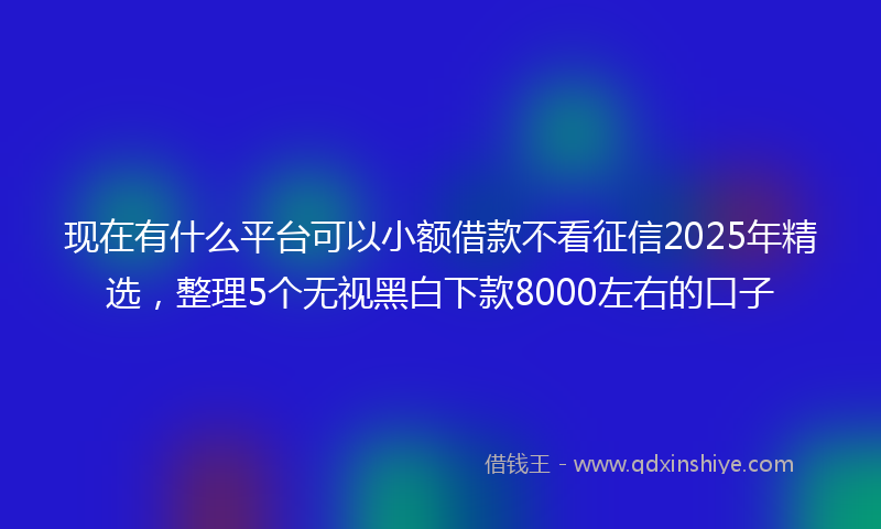 现在有什么平台可以小额借款不看征信2025年精选，整理5个无视黑白下款8000左右的口子