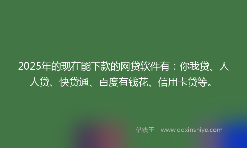 2025年的现在能下款的网贷软件有：你我贷、人人贷、快贷通、百度有钱花、信用卡贷等。