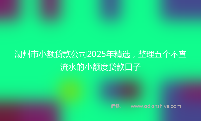 湖州市小额贷款公司2025年精选，整理五个不查流水的小额度贷款口子