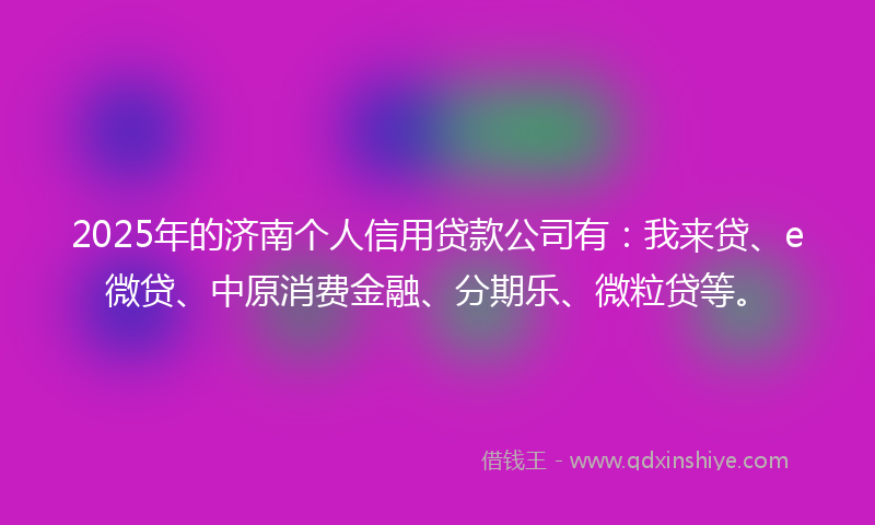 2025年的济南个人信用贷款公司有：我来贷、e微贷、中原消费金融、分期乐、微粒贷等。