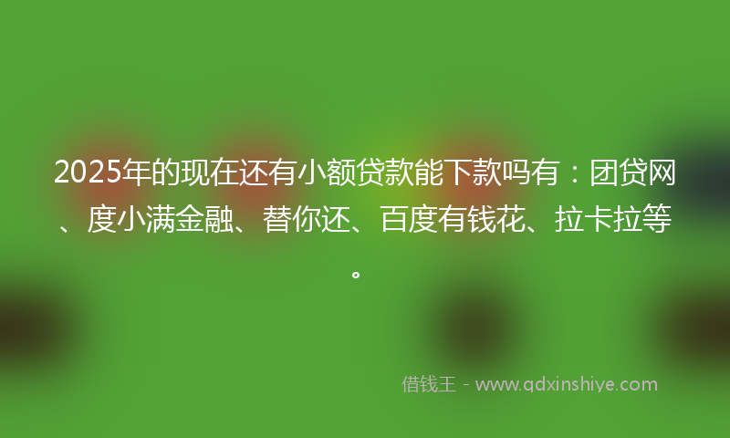 2025年的现在还有小额贷款能下款吗有：团贷网、度小满金融、替你还、百度有钱花、拉卡拉等。