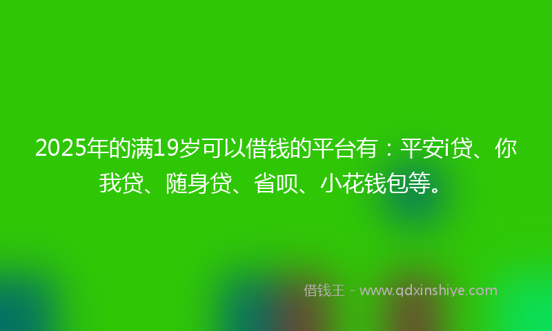 2025年的满19岁可以借钱的平台有：平安i贷、你我贷、随身贷、省呗、小花钱包等。