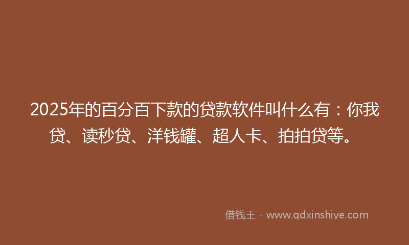 2025年的百分百下款的贷款软件叫什么有:你我贷、读秒贷、洋钱罐、超人卡、拍拍贷等。