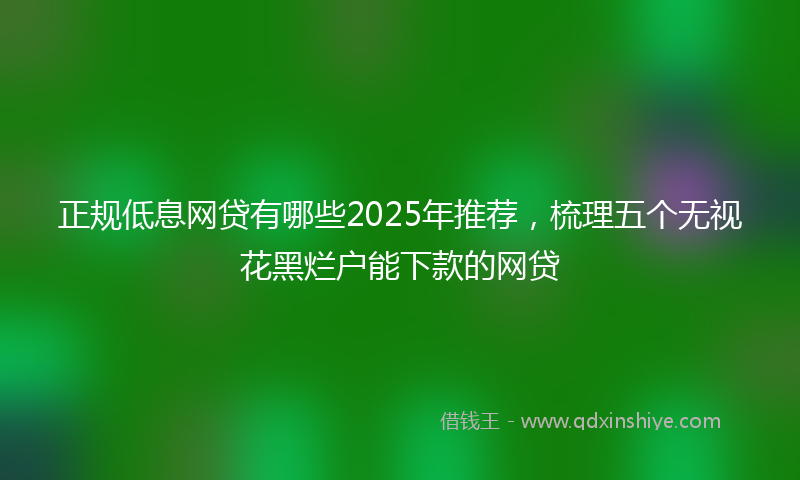 正规低息网贷有哪些2025年推荐，梳理五个无视花黑烂户能下款的网贷