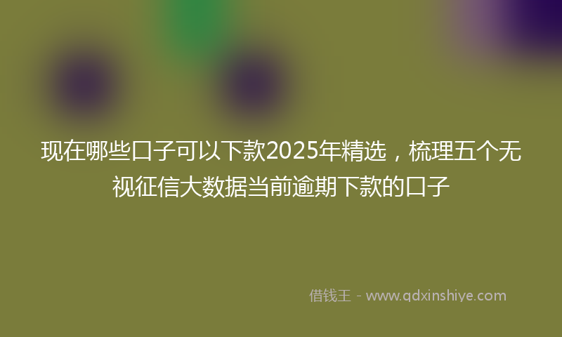 现在哪些口子可以下款2025年精选，梳理五个无视征信大数据当前逾期下款的口子