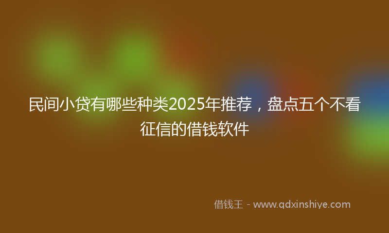 民间小贷有哪些种类2025年推荐，盘点五个不看征信的借钱软件