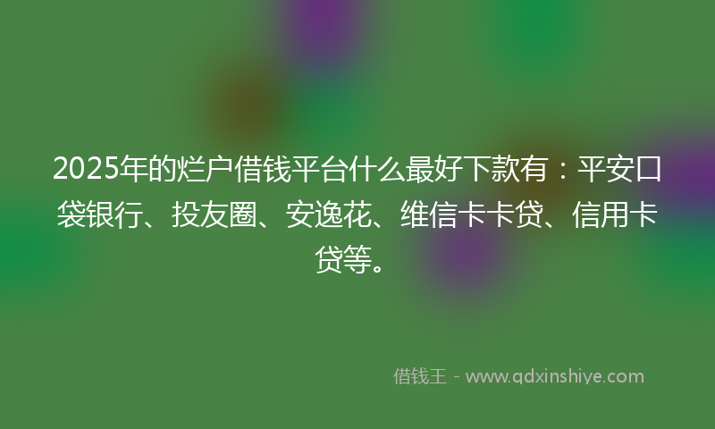 2025年的烂户借钱平台什么最好下款有：平安口袋银行、投友圈、安逸花、维信卡卡贷、信用卡贷等。
